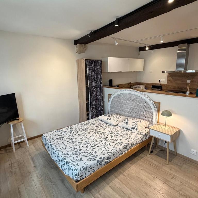 Grand studio dans le centre historique - Apartment mit 1 Schlafzimmer mit Stadtblick - 13