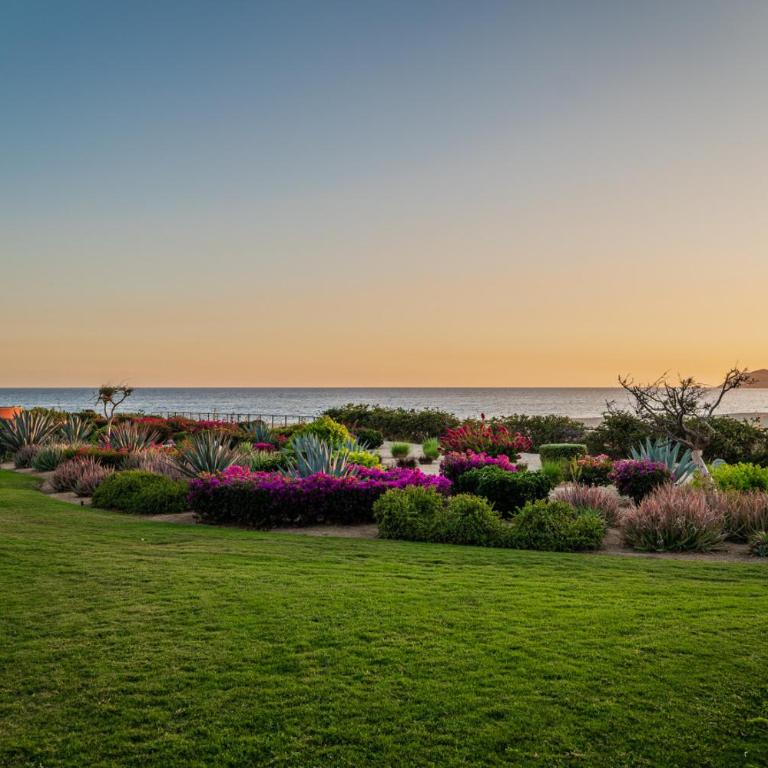 Memorial Day Special 2BR Beachfront Casa Del Mar - Apartamento - 51