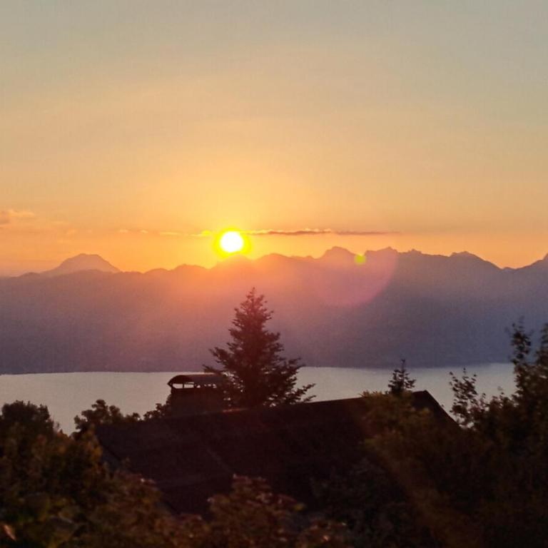 Châlet Ô Perchoir du Lac Léman - Vue panoramique lac et montagnes - Chalet - 44