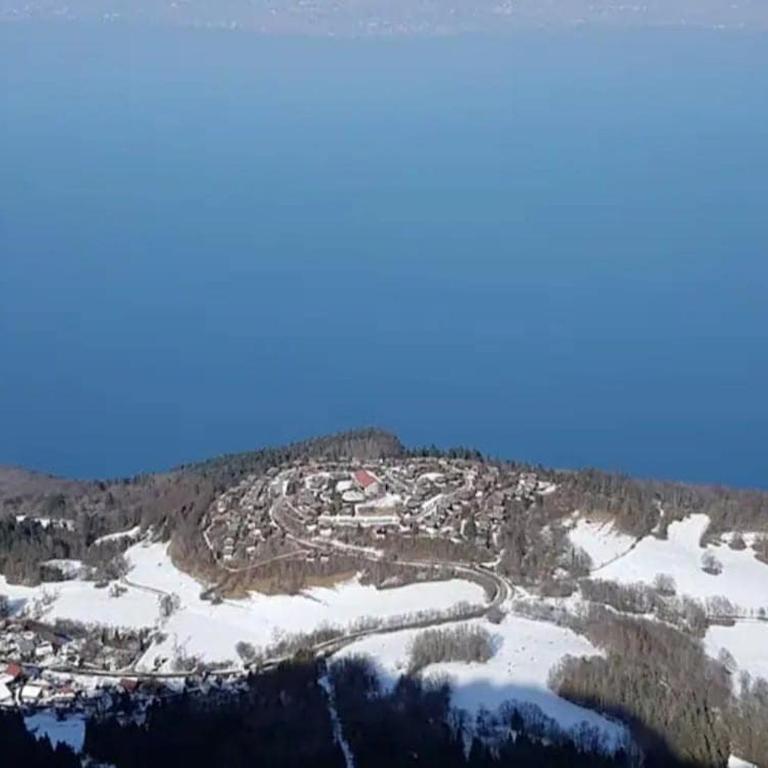 Châlet Ô Perchoir du Lac Léman - Vue panoramique lac et montagnes - Chalet - 40