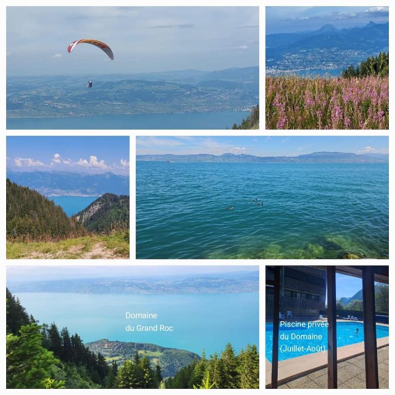 Châlet Ô Perchoir du Lac Léman - Vue panoramique lac et montagnes - Chalet - 59