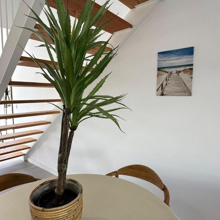 Paraná Sunset by Beauty Rentals - Three-Bedroom Apartment - 5