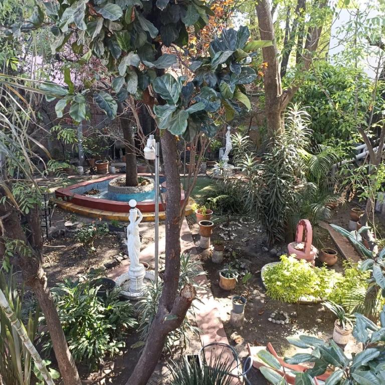 El Jardín Romántico en Ciudad de México - One-Bedroom Apartment - 8