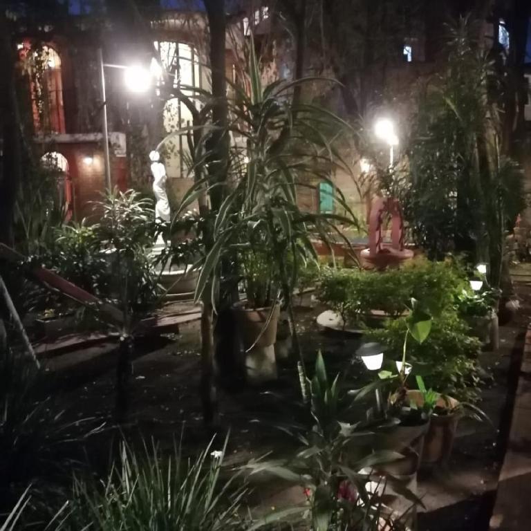 El Jardín Romántico en Ciudad de México - One-Bedroom Apartment - 11
