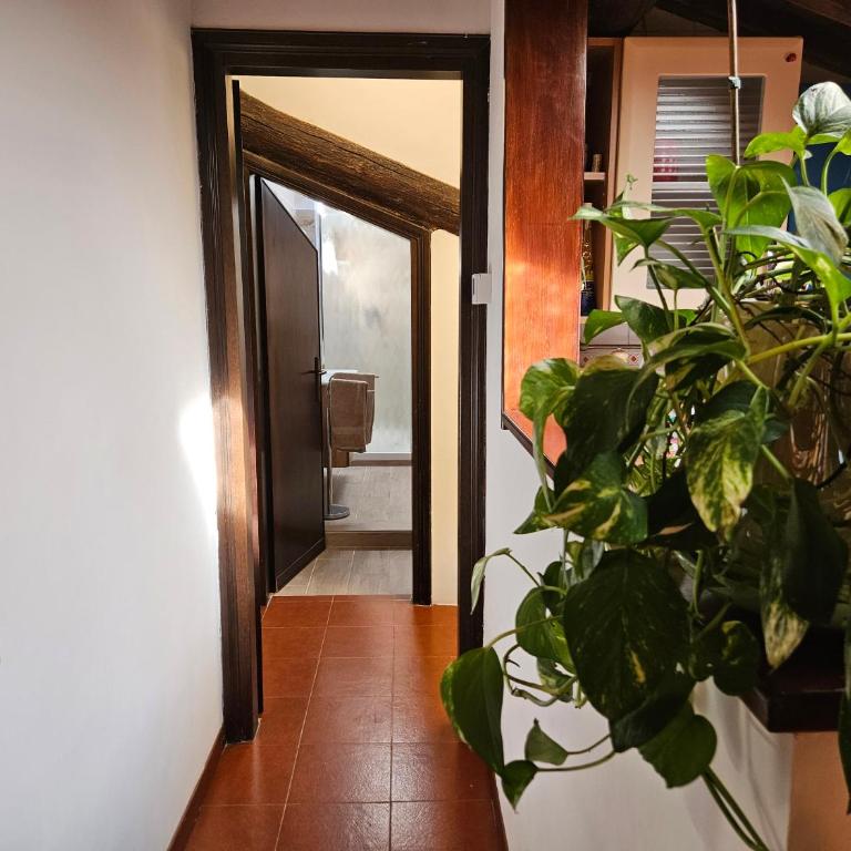 Leonis Apartment - Alloggio Premium - Appartamento con 2 Camere da Letto - 10