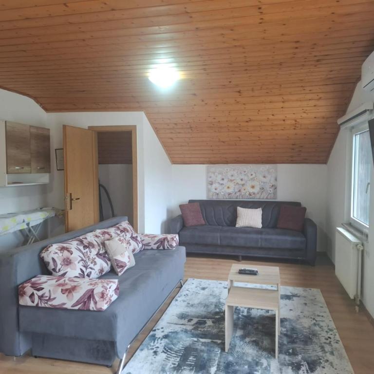 Amina River Apartment - Two-Bedroom Apartment with Lake View - 12
