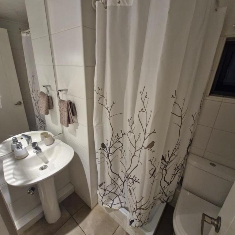 Luminoso departamento cercano a Barrio Italia - Two-Bedroom Apartment with Balcony - 7