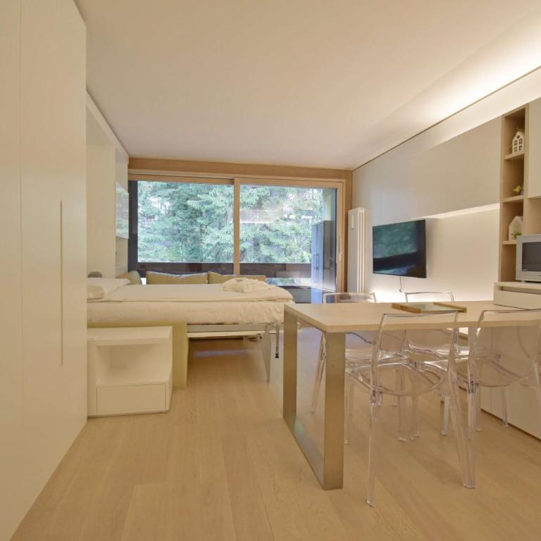 Silvana Alpine Studio 131 MhD - Monolocale Superior - 26
