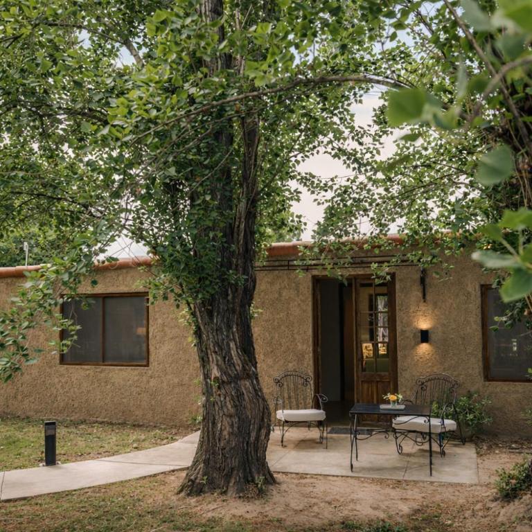 Finca Verde Oliva Wine & Olive Estate - Suite Superior - 2