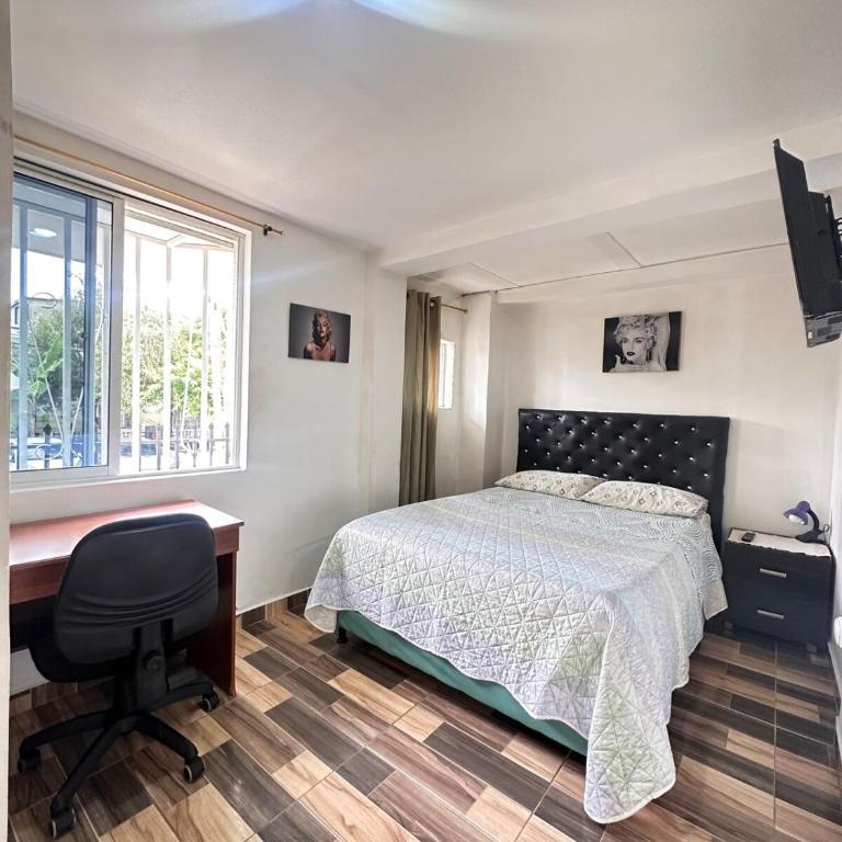 Quiet, comfortable and totally private space - One-Bedroom Apartment - 11
