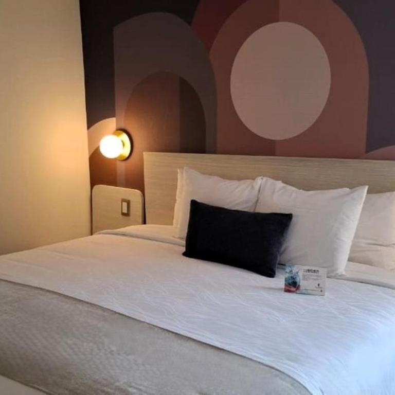 Hotel Century Reforma - Suite Junior - 6