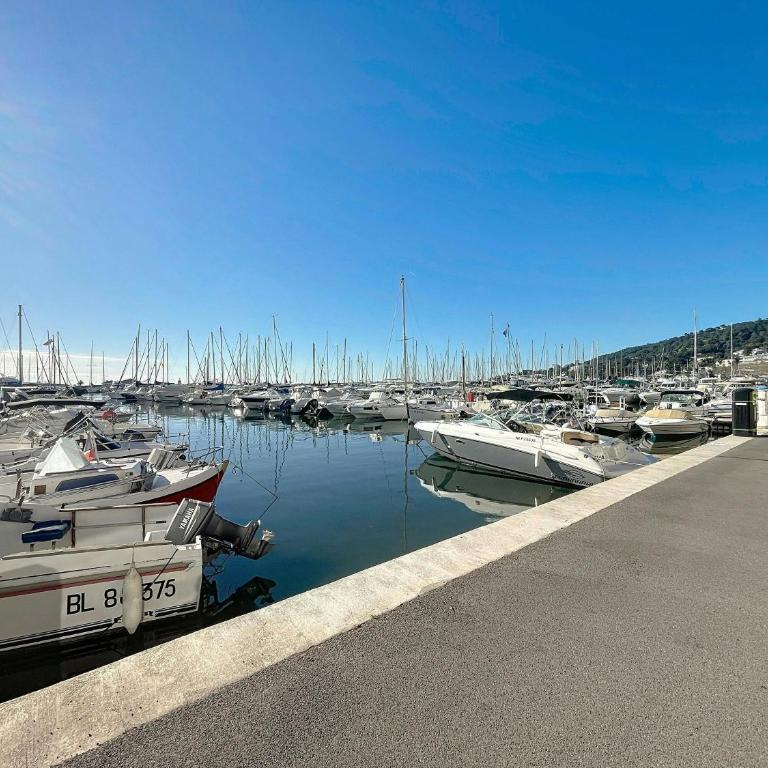 Port Azur - 4 couchages -1 chambre-Piscine-Parking - Appartamento - 17