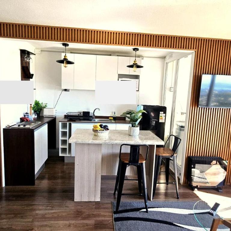 Acogedor departamento céntrico vista al lago - Two-Room Apartment - 7