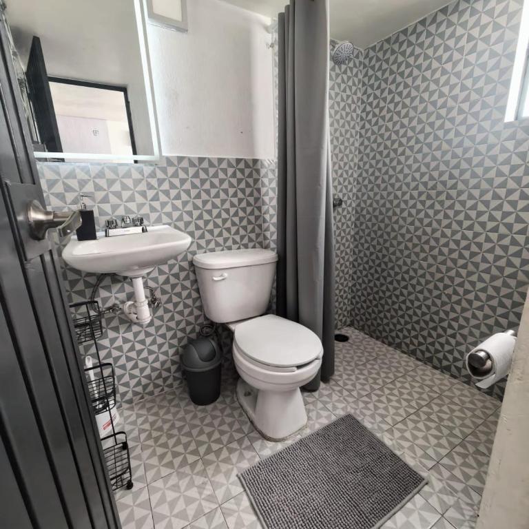 Loft acogedor en el centro de Guadalajara - One-Bedroom Apartment - 5