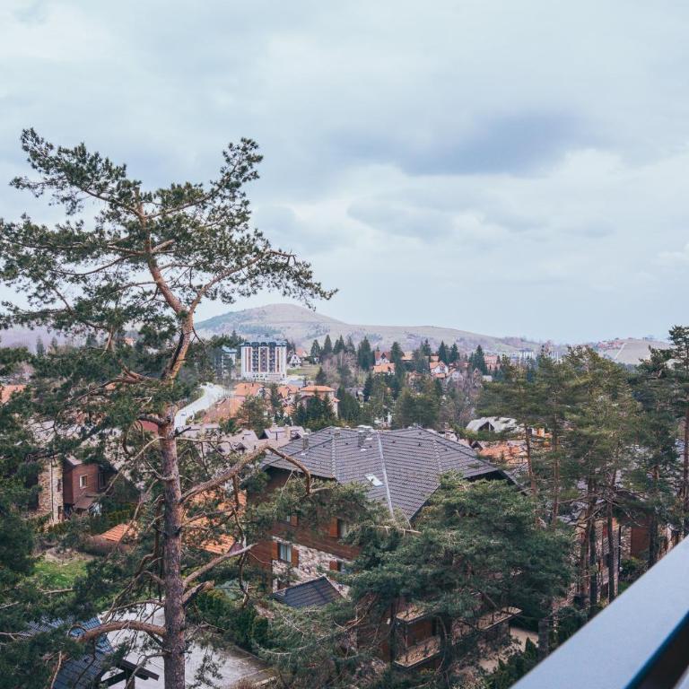 Pine Heart Zlatibor - Apartman sa 1 Spavaćom Sobom - 11