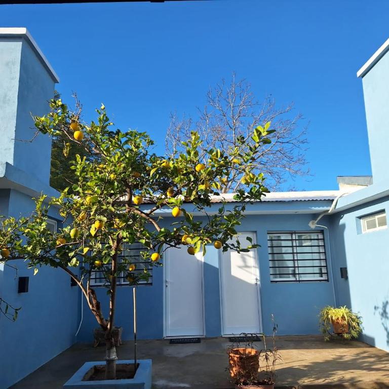 Hospedaje Gustavo II - Apartamento de 1 dormitorio - 3