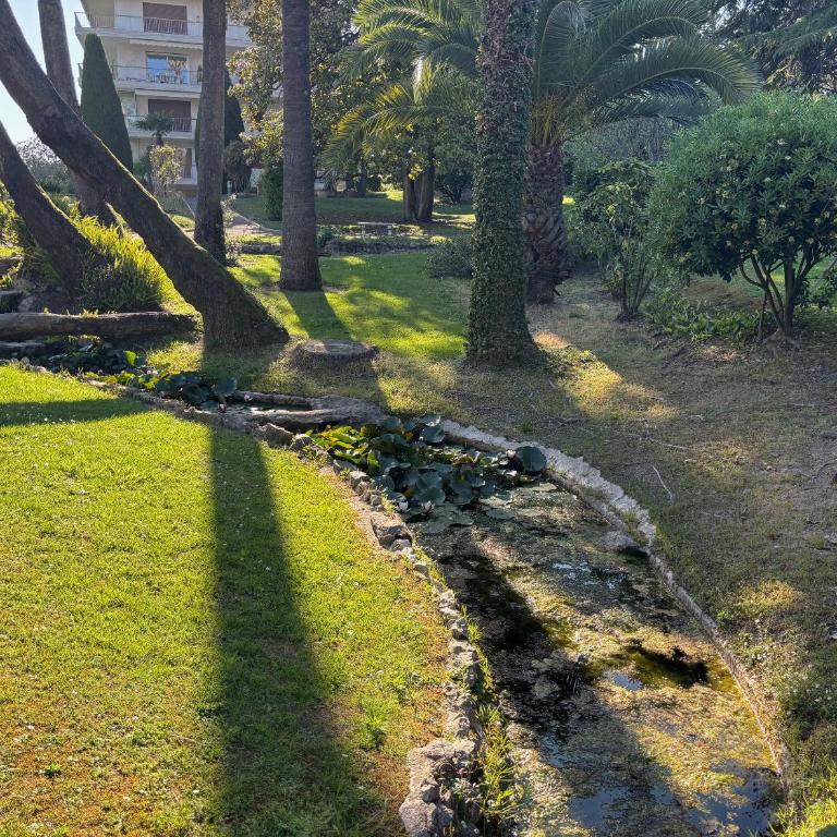 Luxueux appartement de prestige à Cannes - Appartement 1 Chambre - 19