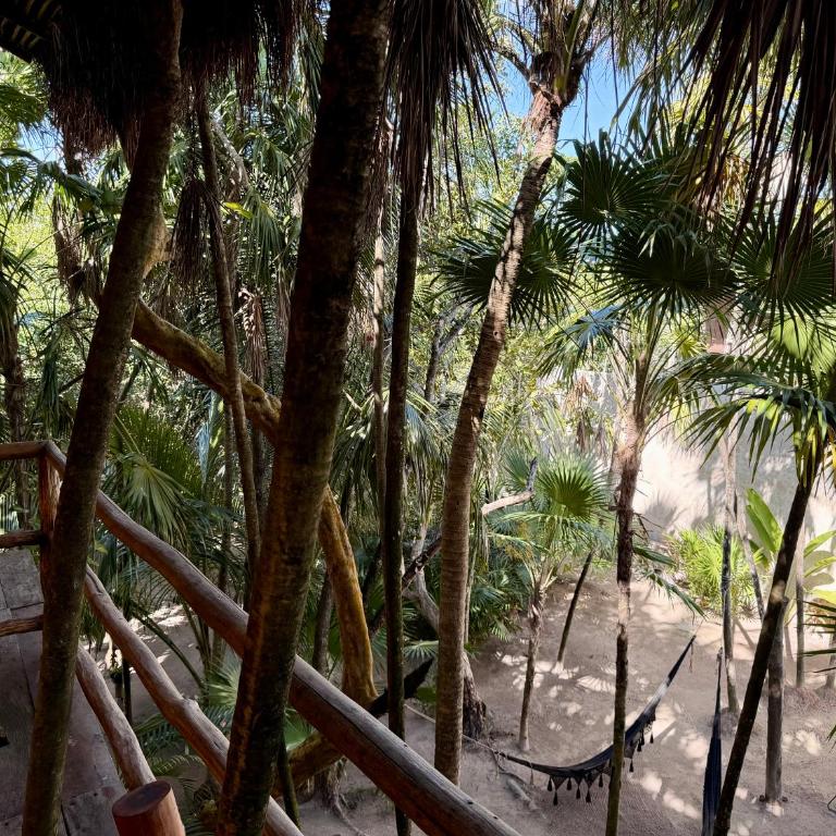 Alma Libre Hotel Tulum - Deluxe Villa - 27