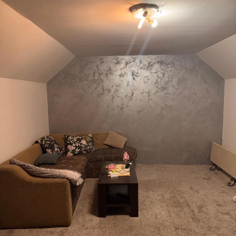Apartman Restoran Koliba - Apartman sa 1 Spavaćom Sobom - 6