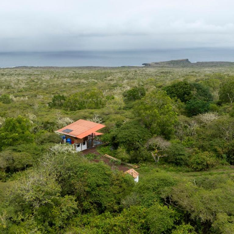 Highland Bamboo Cabin, San Cristóbal Galápagos - Chalet - 7
