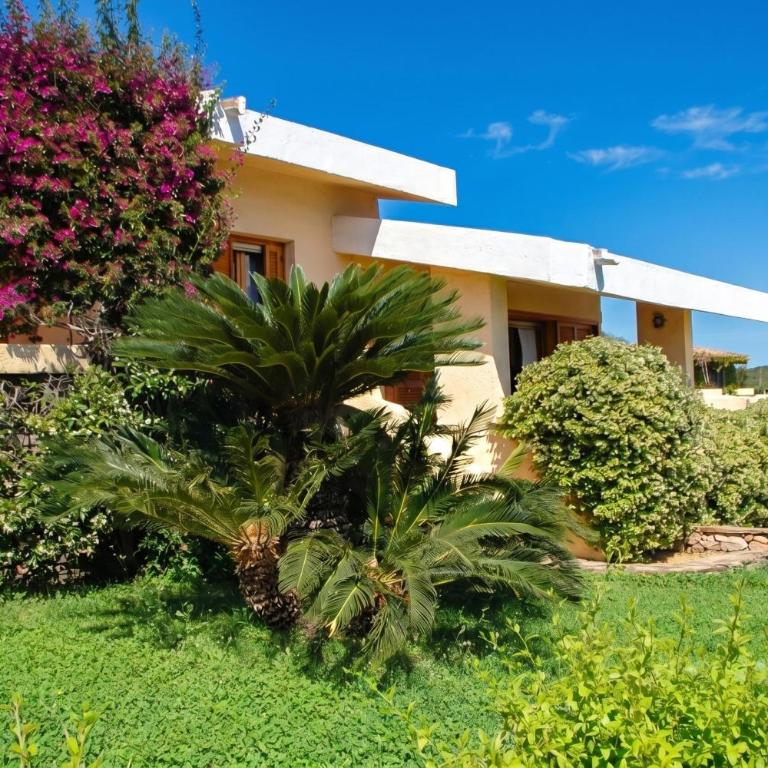 Villa Oleandri 50m From Seashore - Happy Rentals - Villa with Sea View - 24