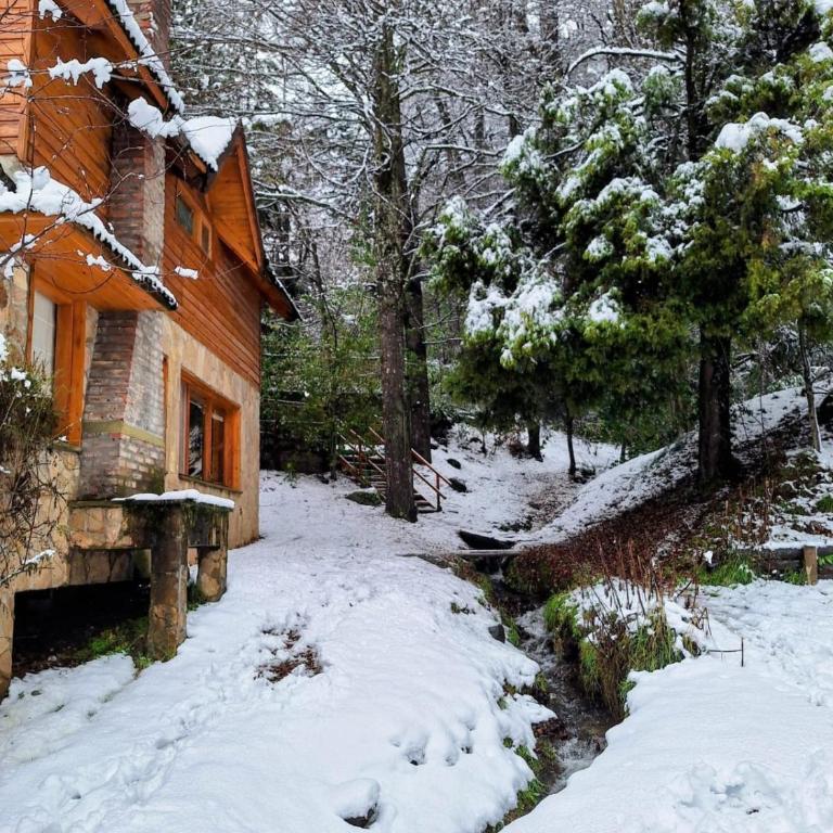 Cabaña del Bosque - Two-Bedroom Chalet - 3