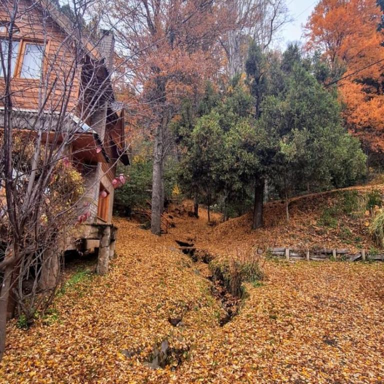 Cabaña del Bosque - Two-Bedroom Chalet - 2