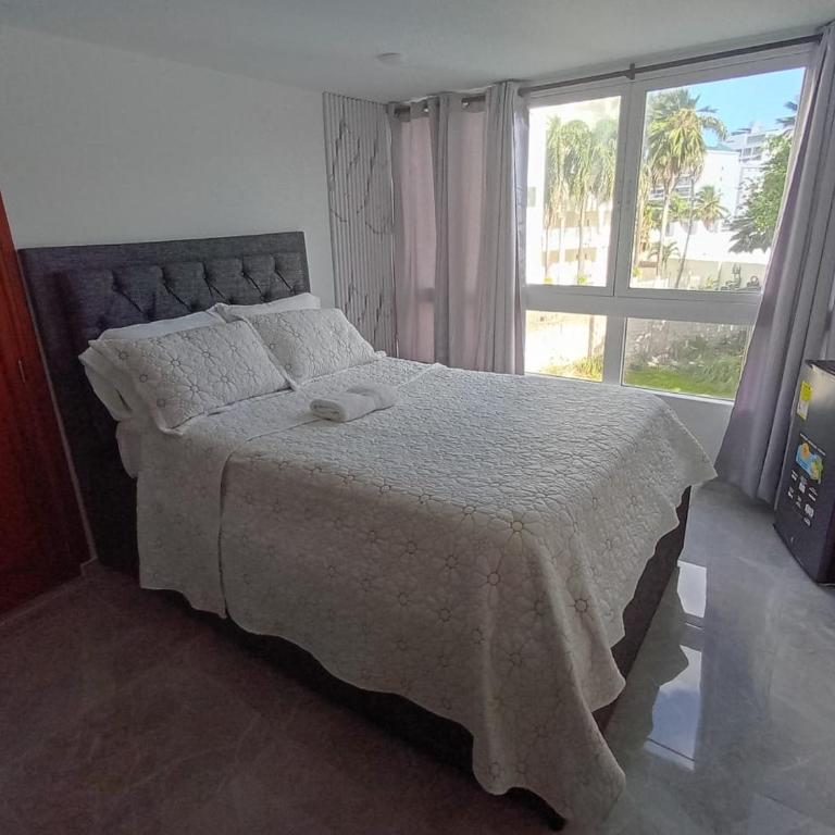 mks hansa bay 305a - Apartamento de 1 dormitorio - 2