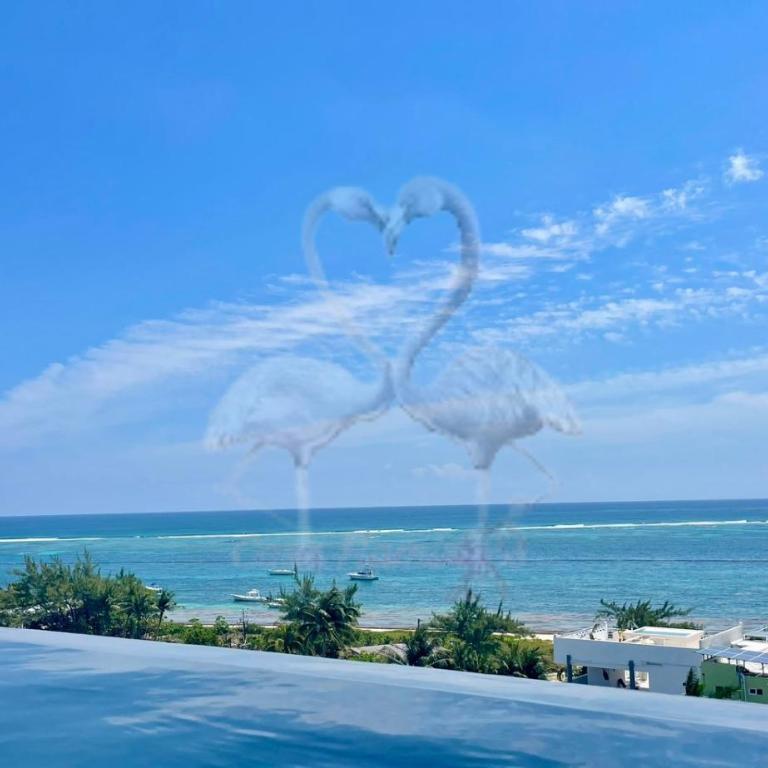 Private Suite, Walk to the Beach, Oceanview Rooftop Pool, Fast WiFi - Studio - 8