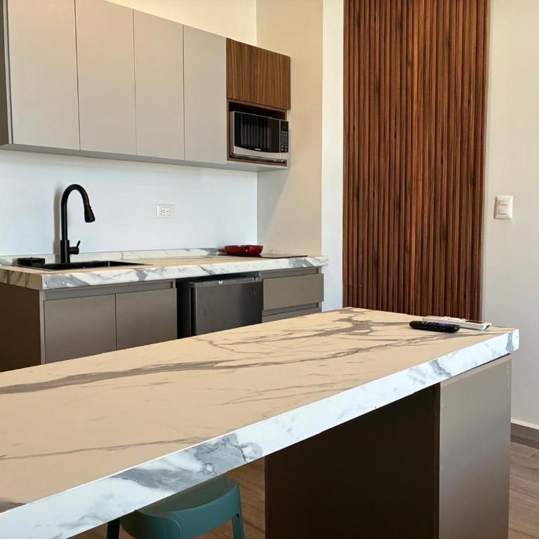 Adhoc Torre Colonia Executive Apartments Monterrey Downtown - Deluxe Queen Studio - 4