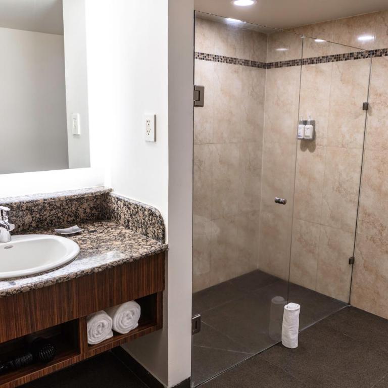 Holiday Inn Mexico City - Trade Center by IHG - Standard Zimmer mit Kingsize-Bett - 1