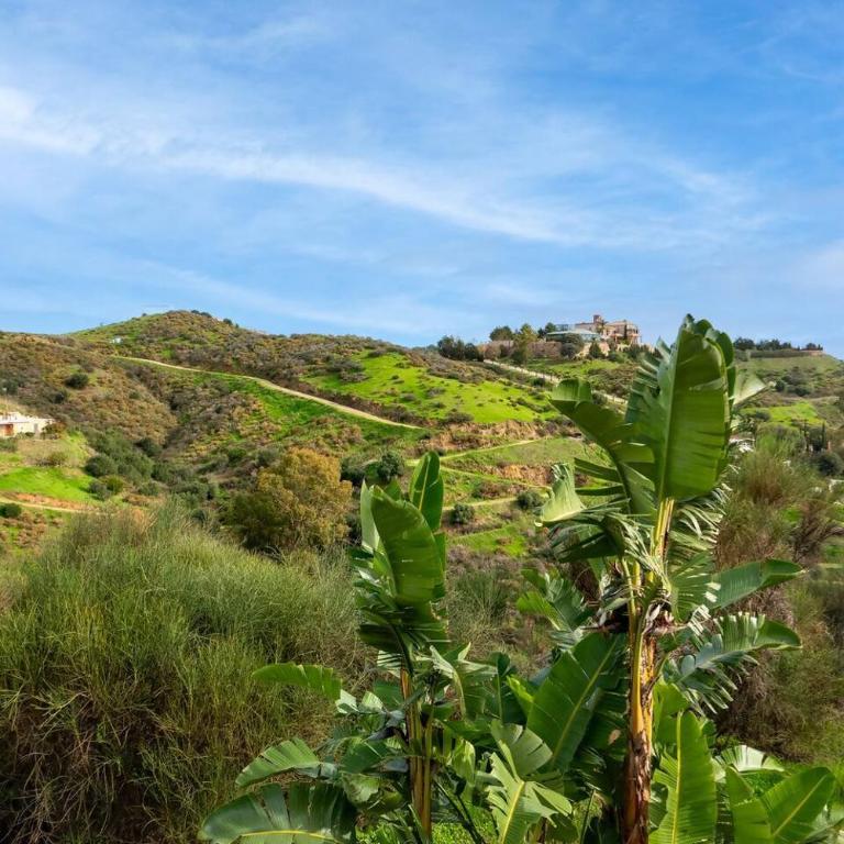 CYV - A dream destination for relaxed vacationing - Apartamento de 2 dormitorios - 7