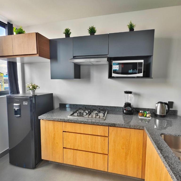 Depa amueblado nuevo a 2 cuadras de Chapultepec - One-Bedroom Apartment - 5