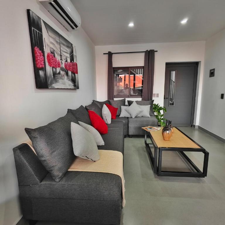 Depa amueblado nuevo a 2 cuadras de Chapultepec - One-Bedroom Apartment - 14