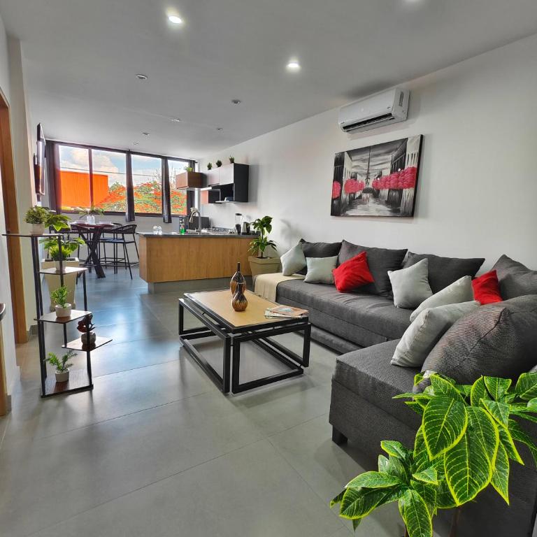 Depa amueblado nuevo a 2 cuadras de Chapultepec - One-Bedroom Apartment - 19