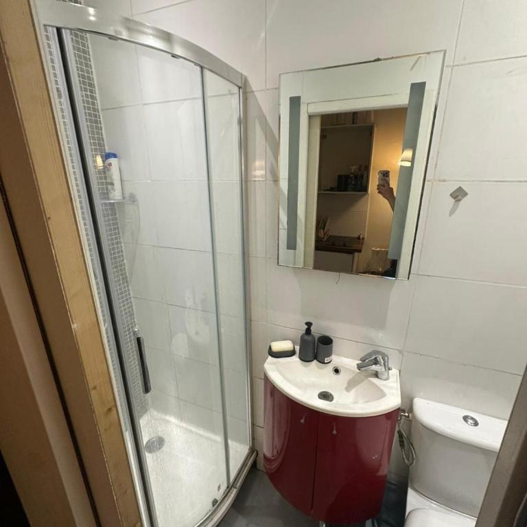 Charmant studio au cœur du 6ᵉ arrondissement - Appartement 1 Chambre - 5