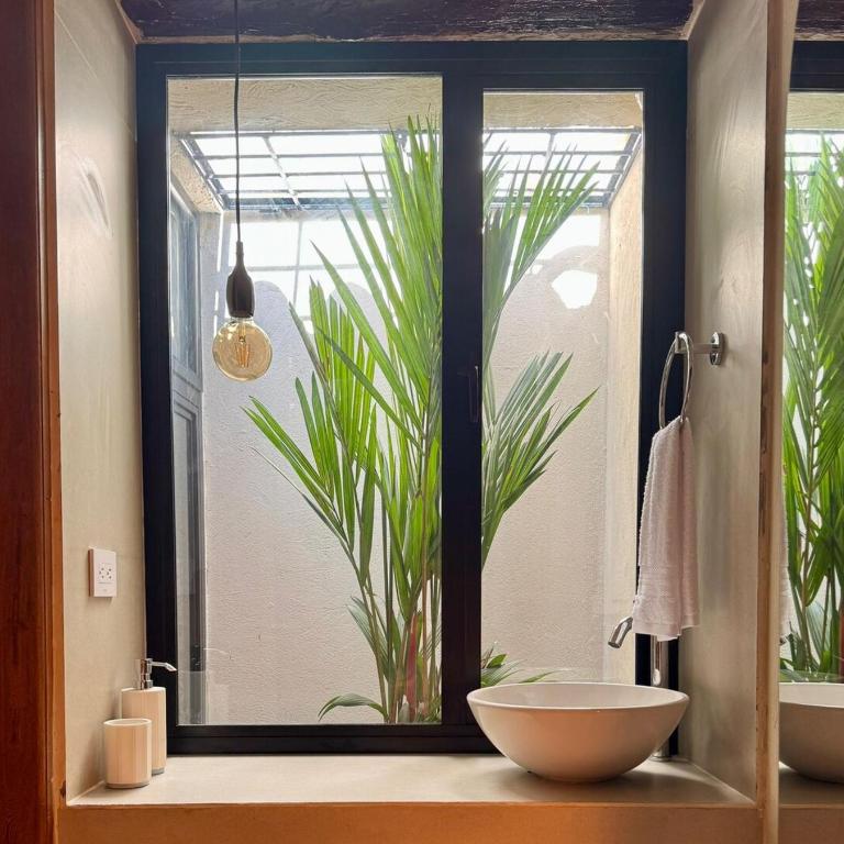 La Casa que Habla - One-Bedroom Apartment - 9