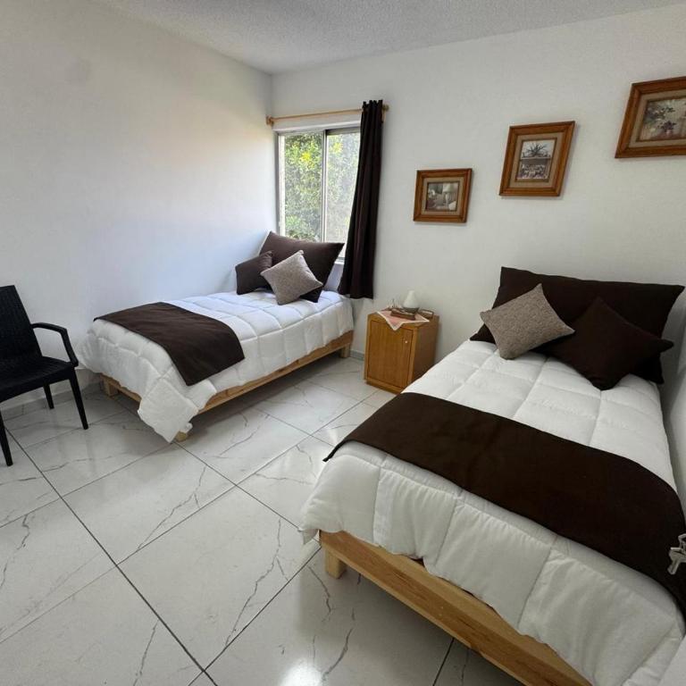 Espacioso departamento en colonia Doctores - Two-Room Apartment - 3