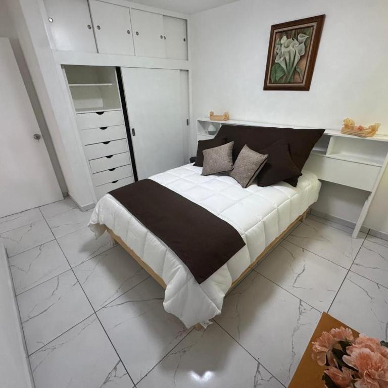Espacioso departamento en colonia Doctores - Two-Room Apartment - 34