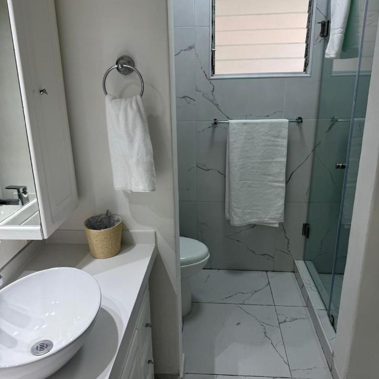 Espacioso departamento en colonia Doctores - Two-Room Apartment - 29