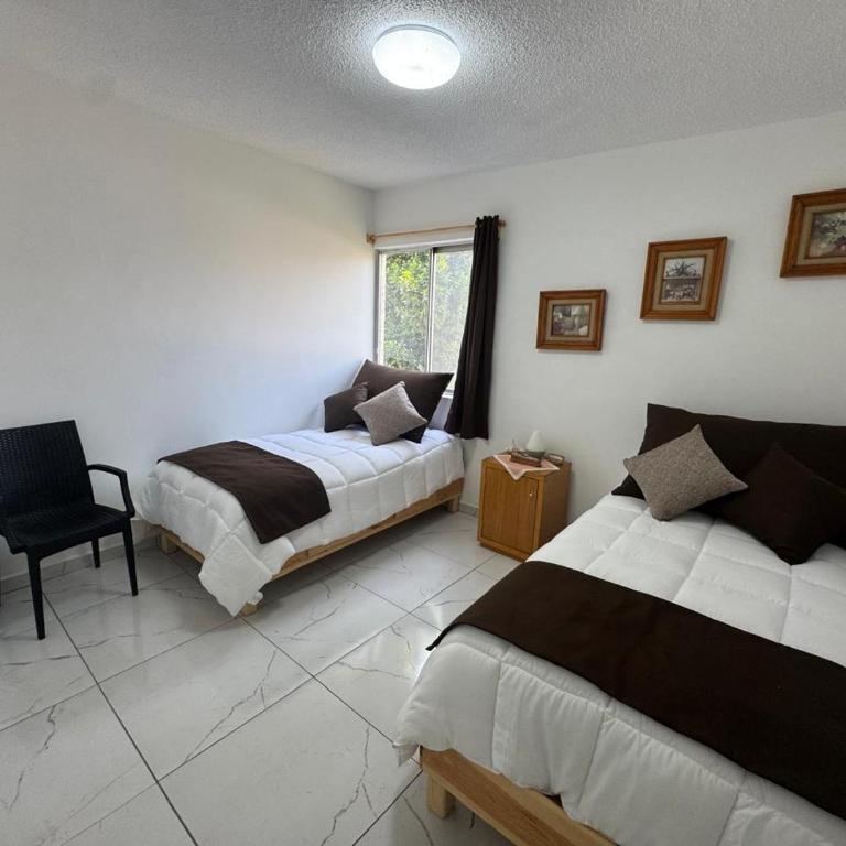 Espacioso departamento en colonia Doctores - Two-Room Apartment - 42
