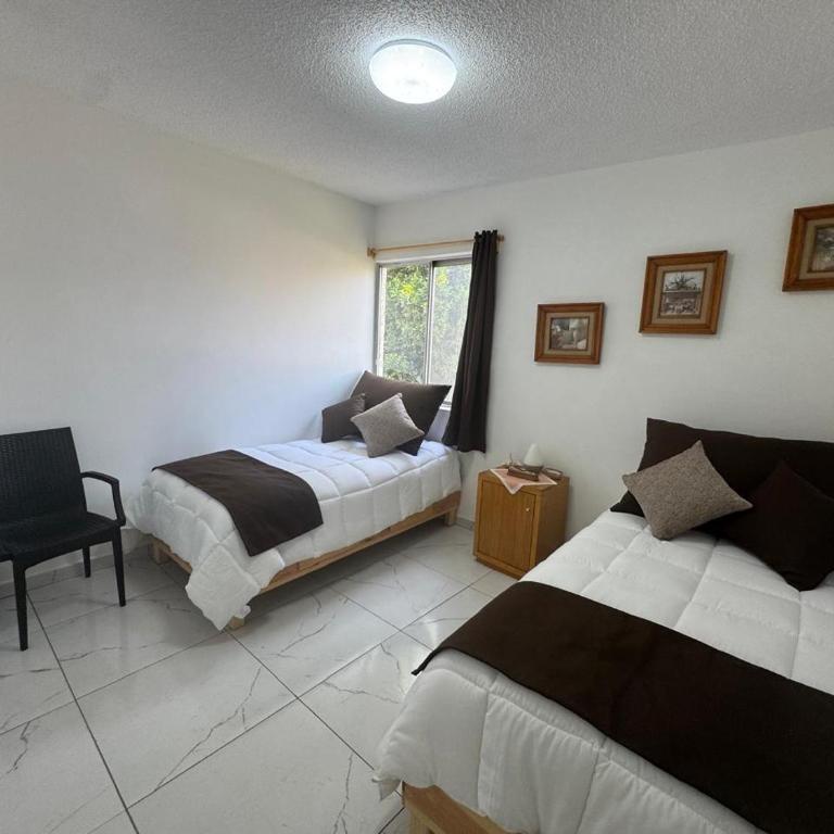 Espacioso departamento en colonia Doctores - Two-Room Apartment - 9