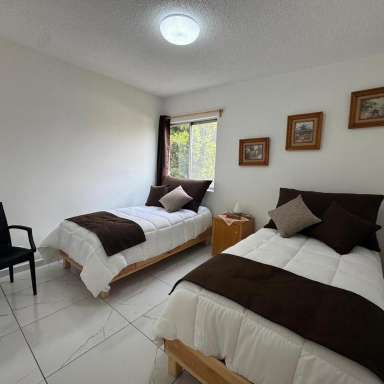 Espacioso departamento en colonia Doctores - Two-Room Apartment - 10