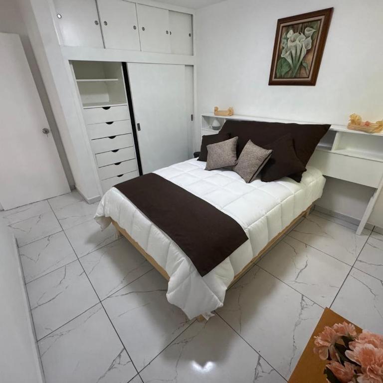 Espacioso departamento en colonia Doctores - Two-Room Apartment - 40