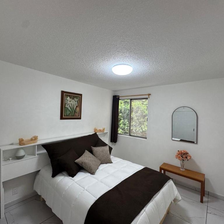 Espacioso departamento en colonia Doctores - Two-Room Apartment - 14