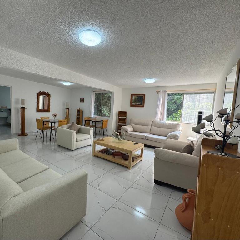 Espacioso departamento en colonia Doctores - Two-Room Apartment - 13