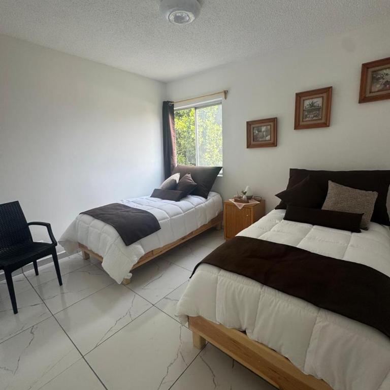 Espacioso departamento en colonia Doctores - Two-Room Apartment - 16