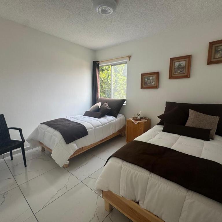 Espacioso departamento en colonia Doctores - Two-Room Apartment - 18