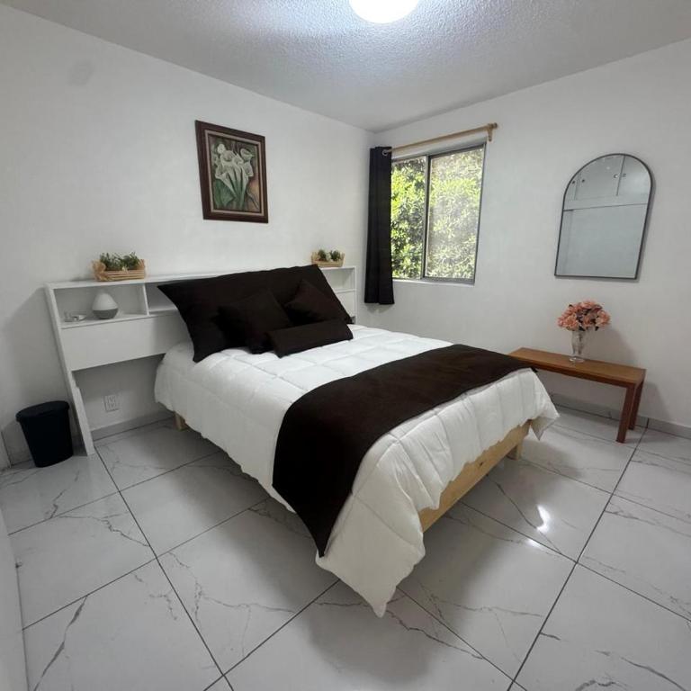 Espacioso departamento en colonia Doctores - Two-Room Apartment - 21