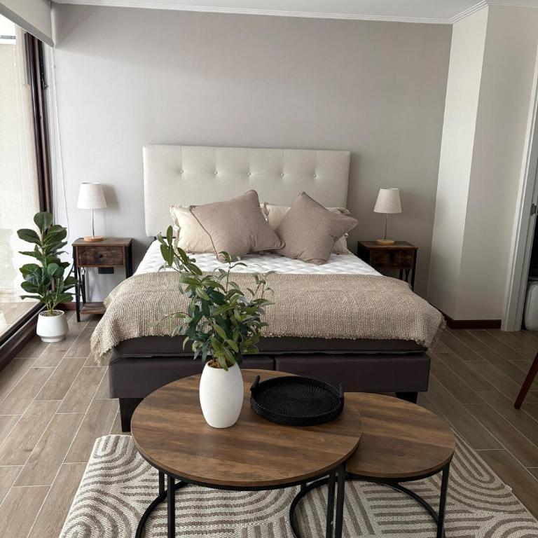 Nova Studio - One-Bedroom Apartment - 1